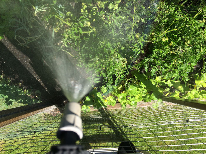 Slider Image Nine